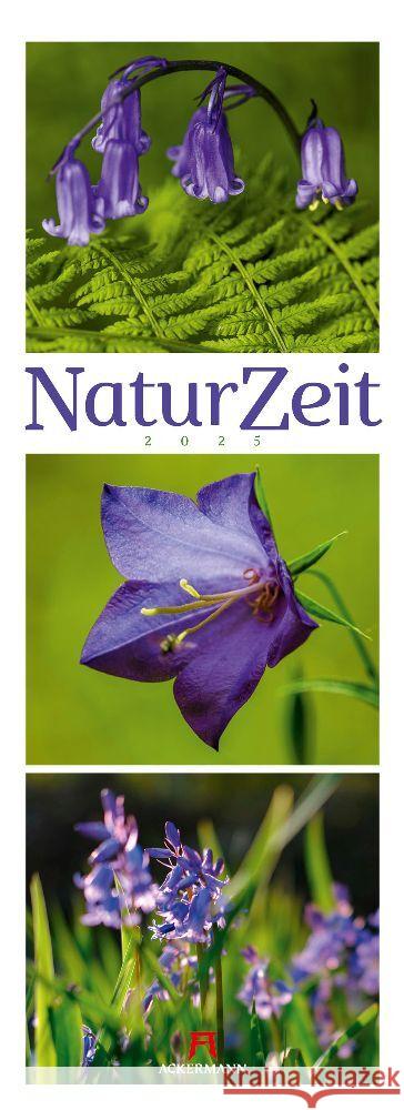 NaturZeit Triplet-Kalender 2025 Ackermann Kunstverlag 9783838435091