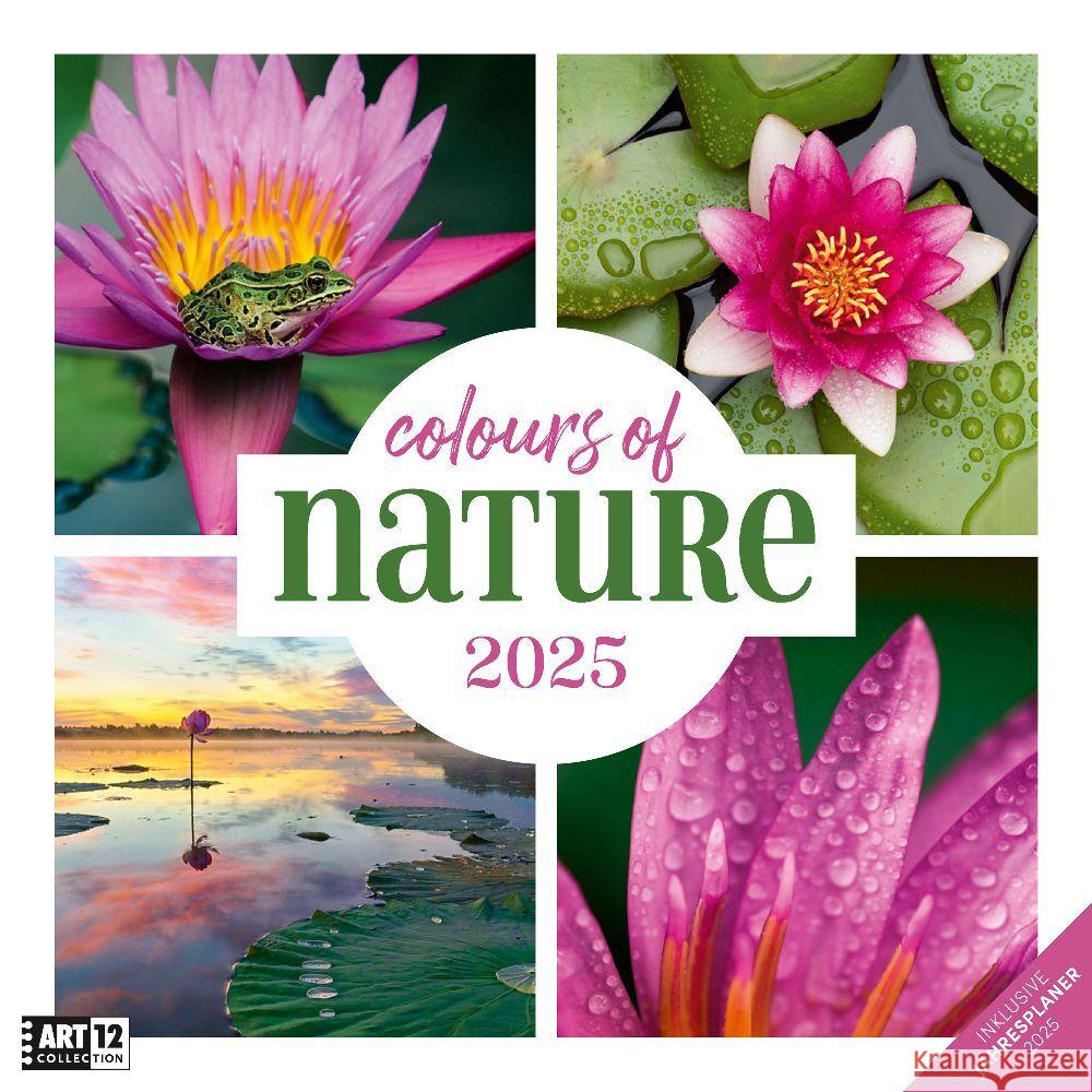 Colours of Nature Kalender 2025 - 30x30 Ackermann Kunstverlag 9783838445014