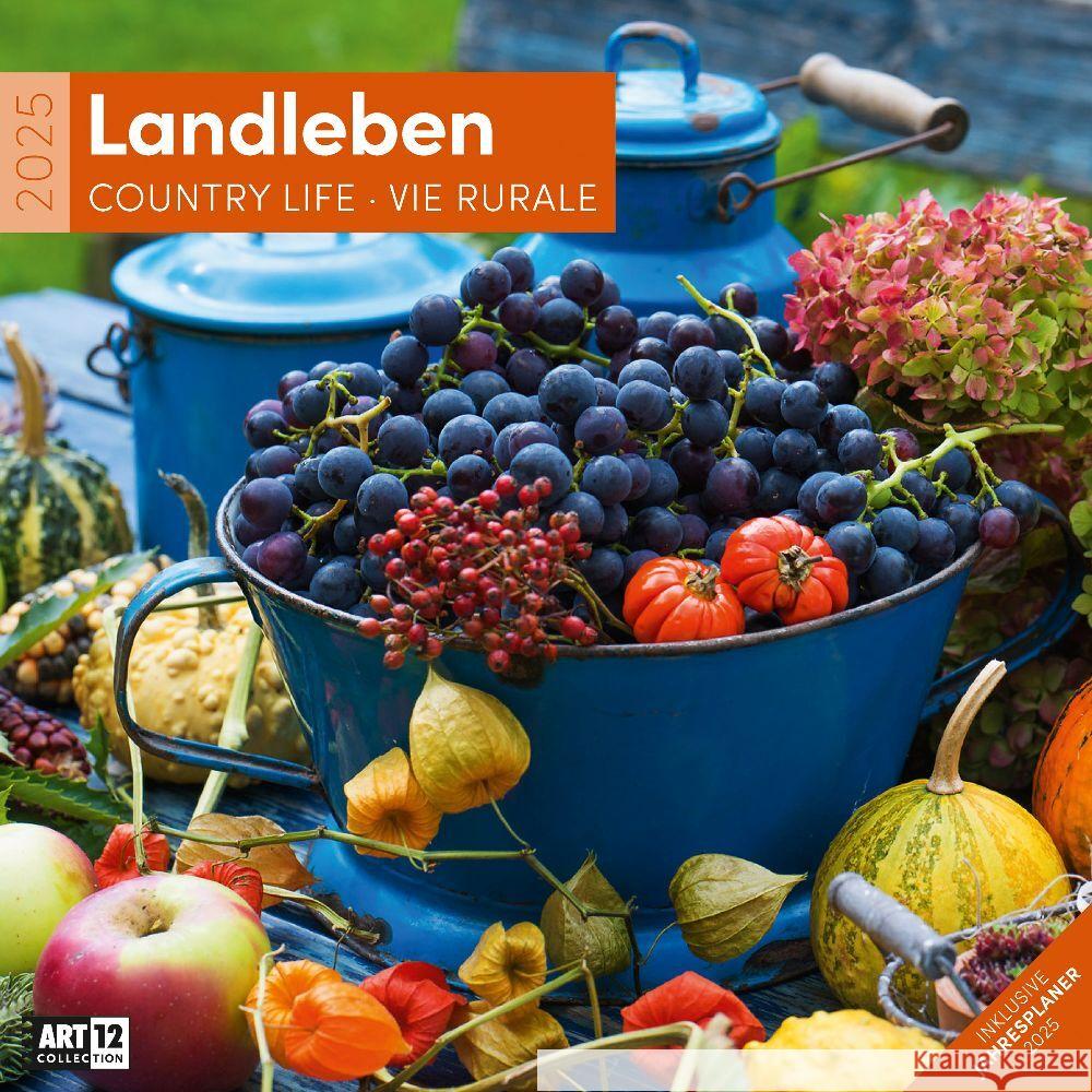 Landleben Kalender 2025 - 30x30 Ackermann Kunstverlag 9783838445168