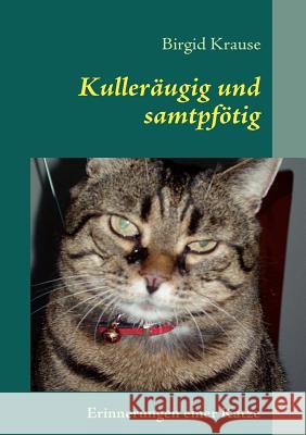 Kulleräugig und samtpfötig: Erinnerungen einer Katze Birgid Krause 9783839108796 Books on Demand