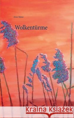Wolkentürme Meier, Arno 9783839191446