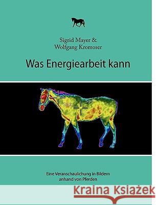 Was Energiearbeit kann: Eine Veranschaulichung in Bildern anhand von Pferden Mayer, Sigrid 9783839192863 Books on Demand