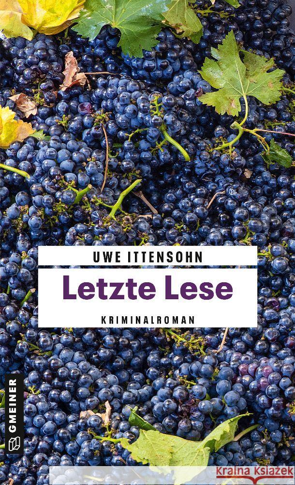 Letzte Lese Ittensohn, Uwe 9783839206096