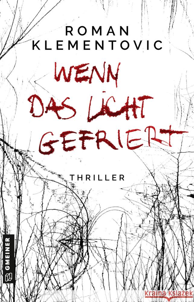 Wenn das Licht gefriert Klementovic, Roman 9783839227701 Gmeiner-Verlag