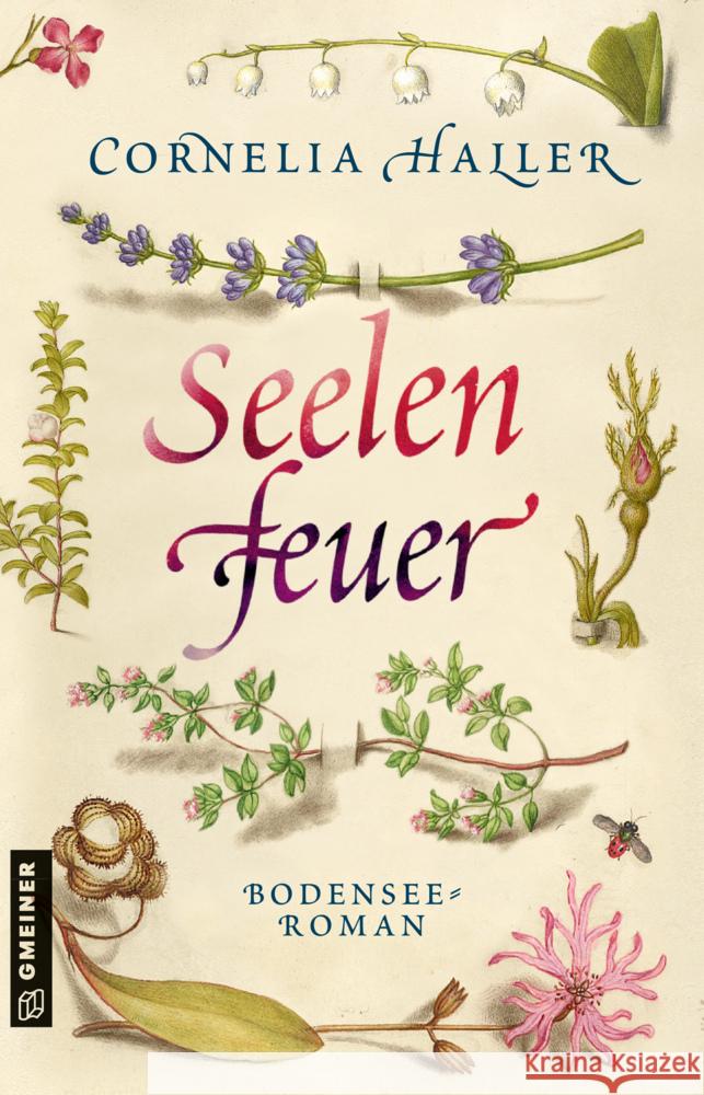 Seelenfeuer Haller, Cornelia 9783839229330 Gmeiner-Verlag