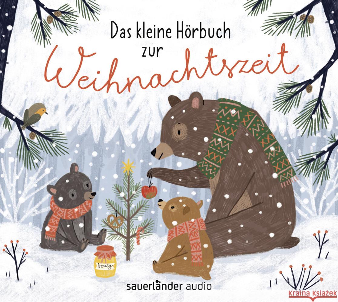 Das kleine Hörbuch zur Weihnachtszeit, 1 Audio-CD Ruck-Pauquèt, Gina, Pauli, Lorenz, Bolliger, Max 9783839844236