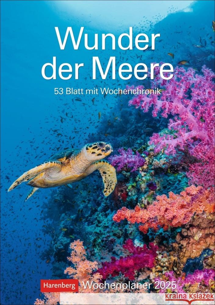 Wunder der Meere Wochenplaner 2025 - 53 Blatt mit Wochenchronik Hattstein, Markus 9783840034978 Harenberg
