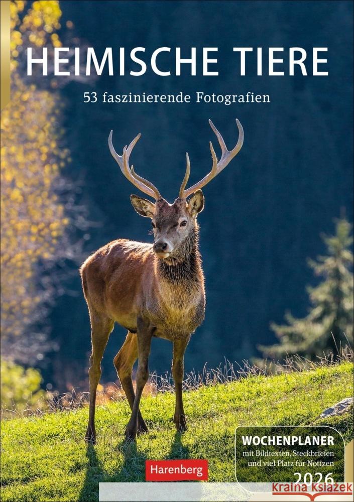 Heimische Tiere Wochenplaner 2026 - 53 faszinierende Fotografien Hattstein, Markus 9783840036279 Harenberg