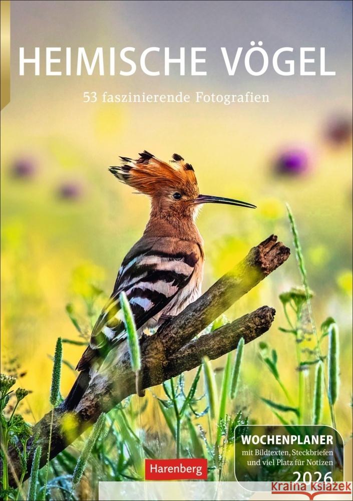 Heimische Vögel Wochenplaner 2026 - 53 faszinierende Fotografien Hattstein, Markus 9783840036606