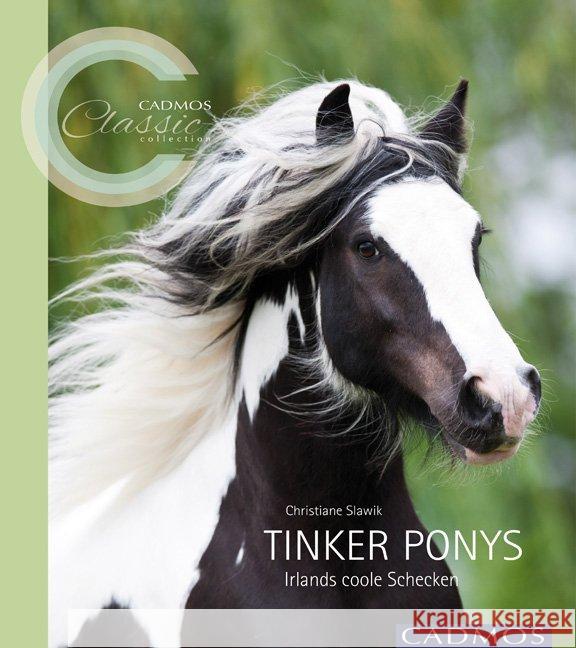 Tinker Ponys : Irlands coole Schecken. Ungekürzte Ausgabe Slawik, Christiane 9783840400254 Cadmos