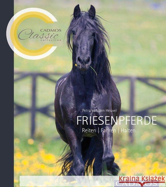 Friesenpferde : Reiten Fahren Halten. Ungekürzte Ausgabe van den Heuvel, Petra 9783840400315 Cadmos