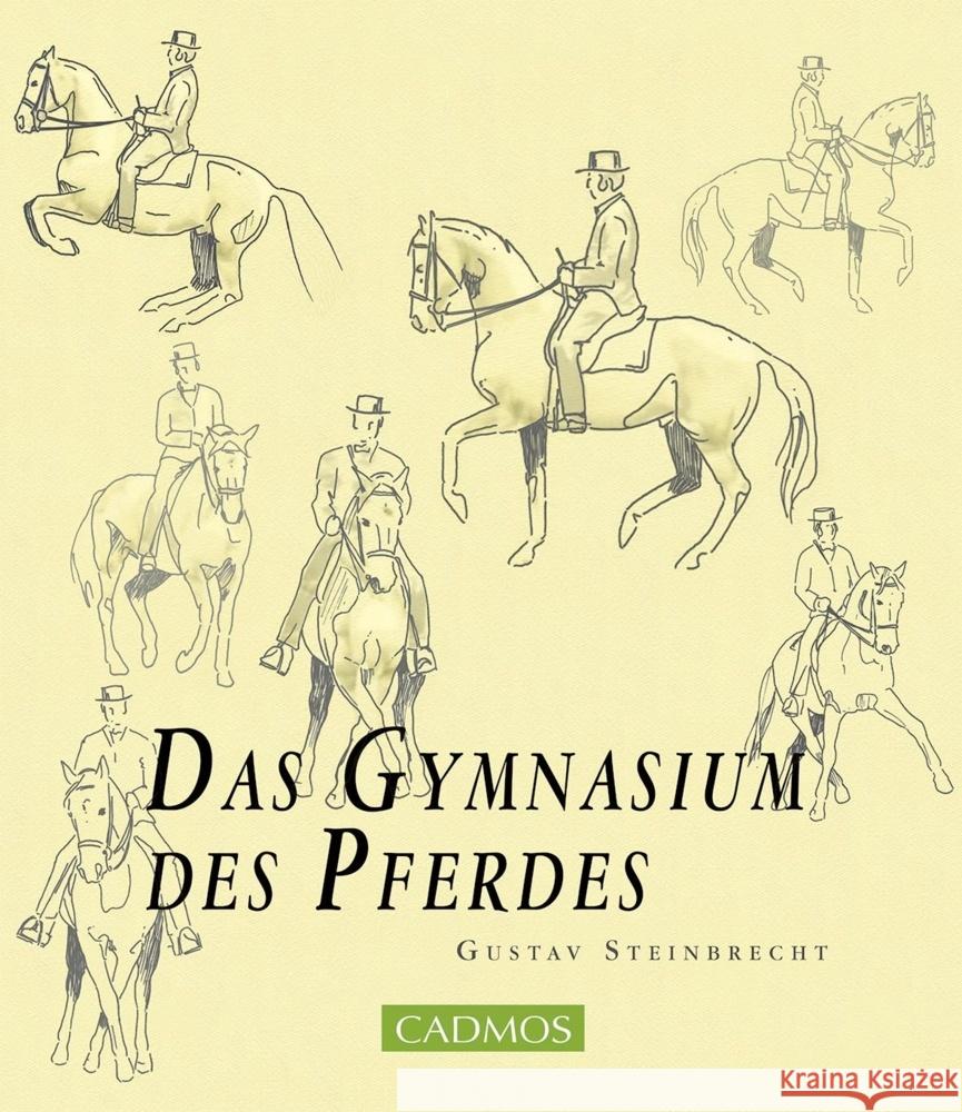 Das Gymnasium des Pferdes Steinbrecht, Gustav 9783840410895 Cadmos