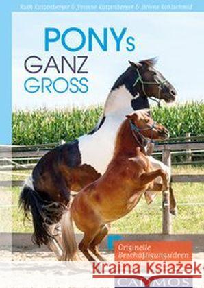 Ponys ganz groß : Originelle Beschäftigungsideen für kleine Pferde Katzenberger, Ruth; Katzenberger, Yvonne; Kohlschmid, Helene 9783840415210 Cadmos