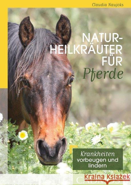 Naturheilkräuter für Pferde : Krankheiten vorbeugen und lindern Naujoks, Claudia 9783840415265 Cadmos