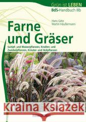 Farne und Gräser : Sumpf- und Wasserpflanzen, Knollen- und Zwiebelpflanzen, Kräuter- und Heilpflanzen Götz, Hans; Häussermann, Martin 9783840482038