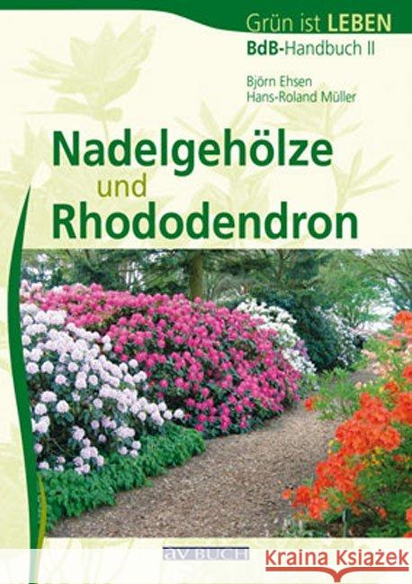 Nadelgehölze und Rhododendron : 329 Pflanzenbeschreibungen in Wort und Bild. Hrsg. v. Bund dtsch. Baumschulen Ehsen, Björn; Müller, Hans-Roland 9783840482045