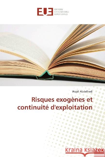 Risques exogènes et continuité d'exploitation Abdelhedi, Wajdi 9783841614988