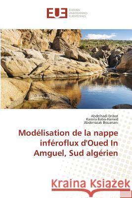 Modélisation de la nappe inféroflux d'Oued In Amguel, Sud algérien Dribat, Abdelhadi; Baba-Hamed, Kamila; Bouanani, Abderrazak 9783841617576 Éditions universitaires européennes