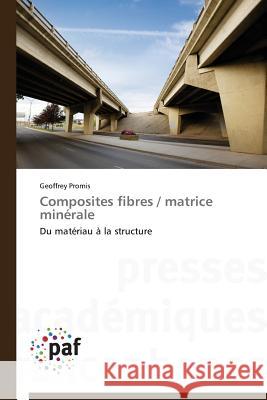 Composites Fibres / Matrice Minérale Promis-G 9783841623348 Presses Academiques Francophones