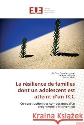 La Résilience de Familles Dont Un Adolescent Est Atteint D Un Tcc Collectif 9783841660848