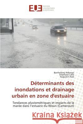 Déterminants Des Inondations Et Drainage Urbain En Zone d'Estuaire Collectif 9783841669575