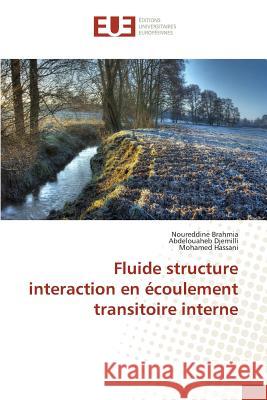 Fluide Structure Interaction En Écoulement Transitoire Interne Sans Auteur 9783841671158 Editions Universitaires Europeennes