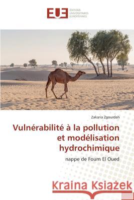 Vulnérabilité À La Pollution Et Modélisation Hydrochimique Zgourdah-Z 9783841673008 Editions Universitaires Europeennes