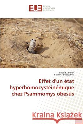 Effet d'un état hyperhomocystéinémique chez Psammomys obesus Zerrouk Fouzia                           Benazzoug Yasmina 9783841675606 Editions Universitaires Europeennes