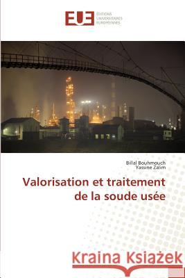 Valorisation Et Traitement de la Soude Usée Bouhmouch-B 9783841675989 Editions Universitaires Europeennes