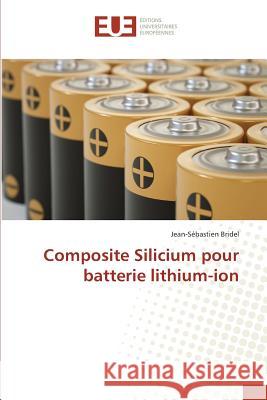 Composite Silicium pour batterie lithium-ion Bridel, Jean-Sébastien 9783841678386