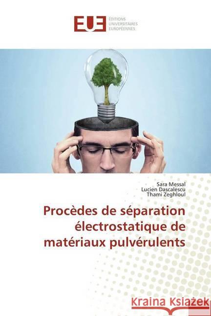 Procèdes de séparation électrostatique de matériaux pulvérulents Messal, Sara; Dascalescu, Lucien; Zeghloul, Thami 9783841679154