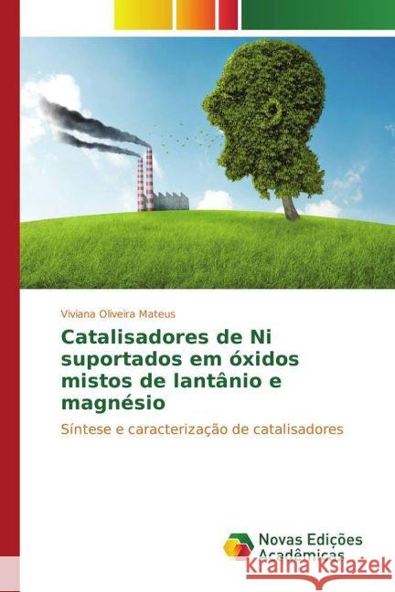Catalisadores de Ni suportados em óxidos mistos de lantânio e magnésio : Síntese e caracterização de catalisadores Mateus, Viviana Oliveira 9783841720283
