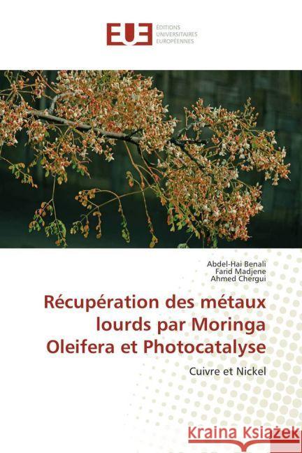 Récupération des métaux lourds par Moringa Oleifera et Photocatalyse : Cuivre et Nickel Benali, Abdel-Hai; Madjene, Farid; Chergui, Ahmed 9783841729705