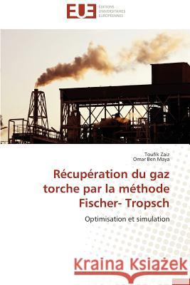Récupération Du Gaz Torche Par La Méthode Fischer- Tropsch Collectif 9783841730855 Editions Universitaires Europeennes
