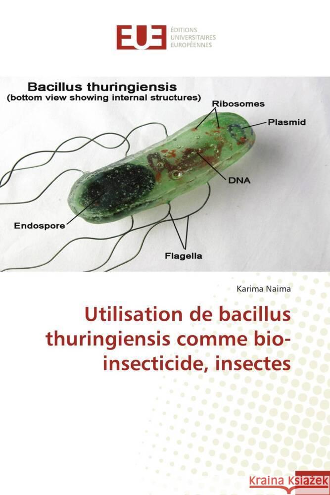 Utilisation de bacillus thuringiensis comme bio-insecticide, insectes Naima, Karima 9783841733108 Éditions universitaires européennes
