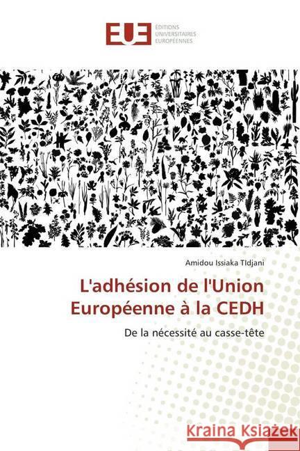 L'adhésion de l'Union Européenne à la CEDH : De la nécessité au casse-tête TIdjani, Amidou Issiaka 9783841736246