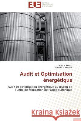 Audit Et Optimisation Énergétique Collectif 9783841743312