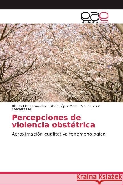 Percepciones de violencia obstétrica : Aproximación cualitativa fenomenológica Fernández, Blanca Flor; López Mora, Gloria; Contreras M., Ma. de Jesus 9783841752475 Editorial Académica Española