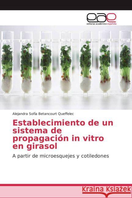 Establecimiento de un sistema de propagación in vitro en girasol : A partir de microesquejes y cotiledones Betancourt Queffelec, Alejandra Sofía 9783841765611