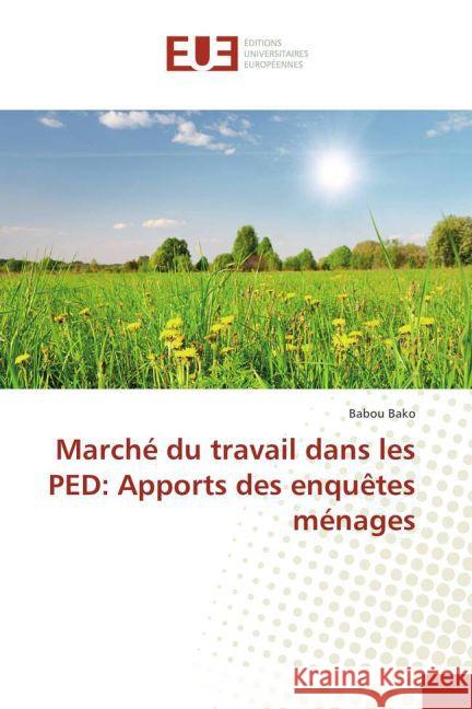 Marché du travail dans les PED: Apports des enquêtes ménages Bako, Babou 9783841777584