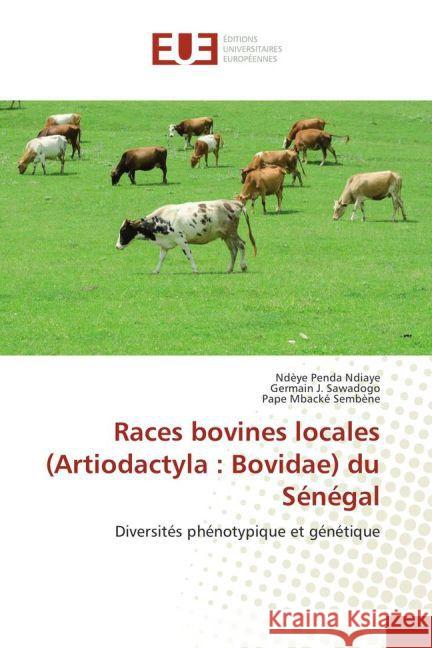 Races bovines locales (Artiodactyla : Bovidae) du Sénégal : Diversités phénotypique et génétique Ndiaye, Ndèye Penda; Sawadogo, Germain J.; Sembène, Pape Mbacké 9783841777898