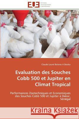 Evaluation Des Souches Cobb 500 Et Jupiter En Climat Tropical Betene a. Dooko-C 9783841781567 Editions Universitaires Europeennes