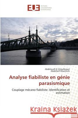 Analyse Fiabiliste En Génie Parasismique Collectif 9783841782472 Editions Universitaires Europeennes