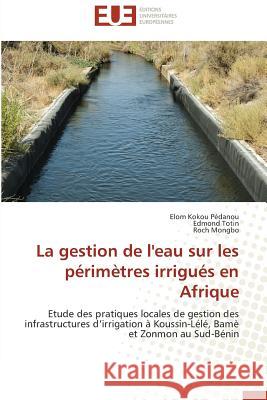 La Gestion de l'Eau Sur Les Périmètres Irrigués En Afrique Collectif 9783841790569