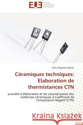 Céramiques Techniques: Elaboration de Thermistances Ctn Kamlo-A 9783841797216 Editions Universitaires Europeennes