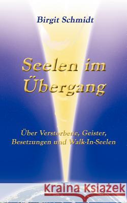 Seelen im Übergang: Über Verstorbene, Geister, Besetzungen und Walk-In-Seelen Schmidt, Birgit 9783842349100