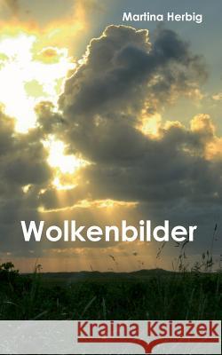 Wolkenbilder Herbig, Martina 9783842356078 Books on Demand