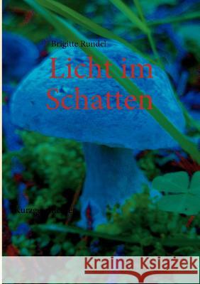 Licht im Schatten: Kurzgeschichten Rundel, Brigitte 9783842363281 Books on Demand