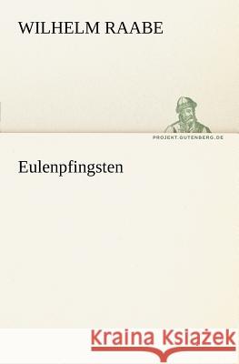 Eulenpfingsten Raabe, Wilhelm 9783842410626