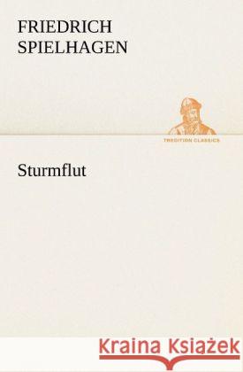 Sturmflut Friedrich Spielhagen 9783842419742